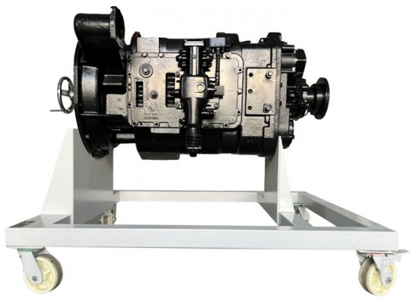 ���D12�n�Ԅ�׃�������ɽ���ģ��