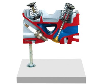 ����w����ģ��