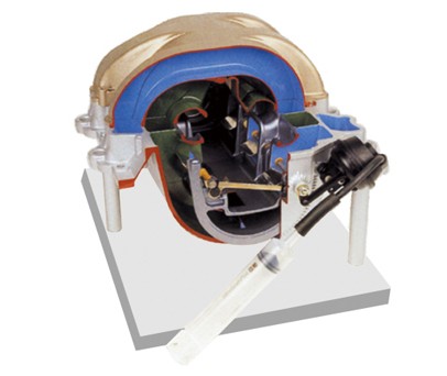 �Б��_�Pϵ�y����ģ��