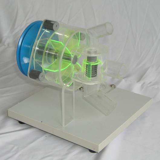 ɣ���{ˮ��