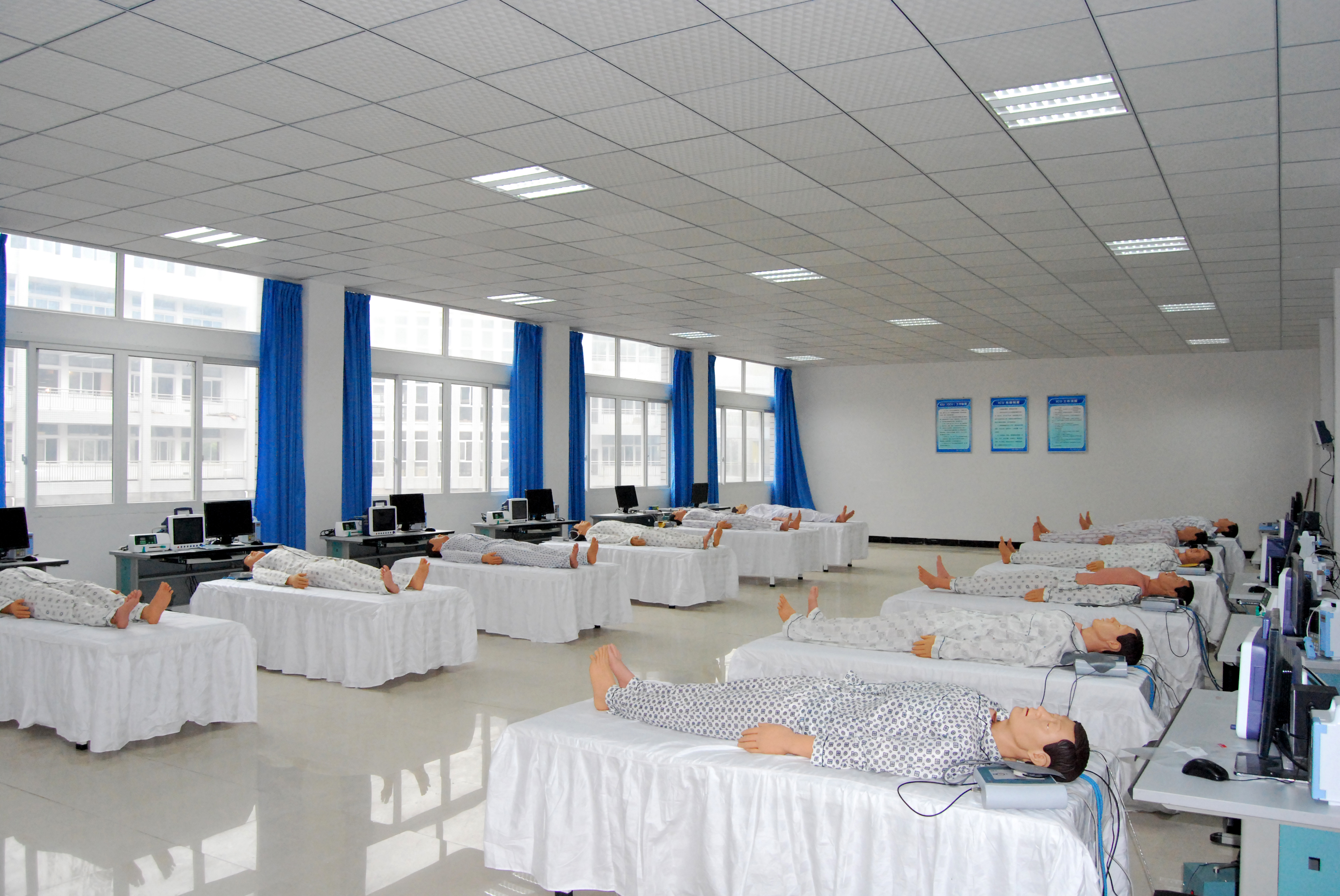 �����o�팍Ӗ��