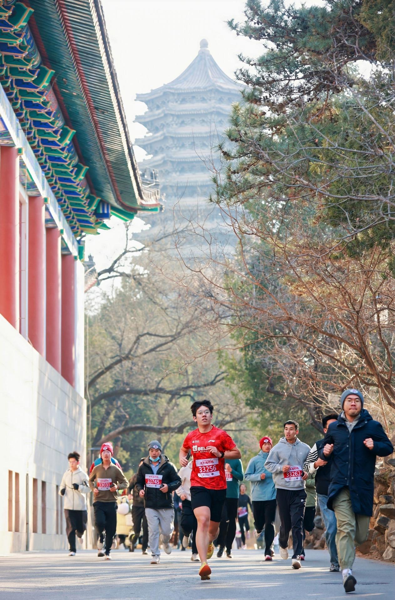 image11.jpeg image11.jpeg